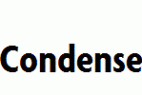 Agenda-BoldCondensed-copy-1-.ttf