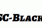 Alegreya-SC-Black-Italic.ttf