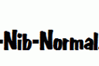 Big-Nib-Normal.ttf