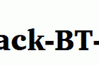 Charter-Black-BT-copy-2-.ttf