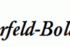 ClassicGarfeld-Bold-Italic.ttf