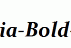 Constantia-Bold-Italic.ttf