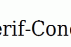 DejaVu-Serif-Condensed.ttf