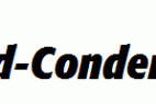 Formata-Bold-Condensed-Italic.ttf