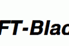 HeldustryFT-Black-Italic.ttf