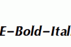 IrisDSE-Bold-Italic.ttf