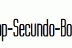 Labtop-Secundo-Bold.ttf