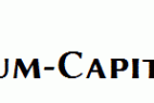 Linux-Biolinum-Capitals-Bold.ttf