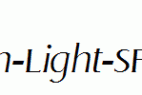 Llewelyn-Light-SF-Italic.ttf