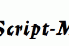 Mercurius-Script-MT-Bold.ttf