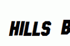 SF-Hollywood-Hills-Bold-Italic.ttf