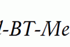 Schneidler-Md-BT-Medium-Italic.ttf