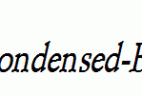 Schroeder-Condensed-Bold-Italic.ttf