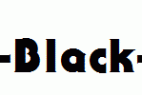 Serif-Gothic-Black-Regular.ttf
