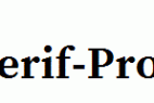 Source-Serif-Pro-Bold.ttf