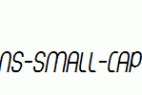 Thorup-Sans-Small-Caps-Italic.ttf