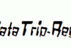 VTC-Bad-DataTrip-Regular-Italic.ttf