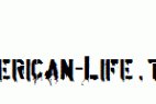 American-Life.ttf