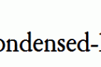 Amery-Condensed-Bold1-.ttf