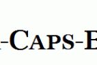 Antiqua-Caps-Bold.ttf