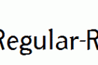 ArbitraryRegular-Regular.ttf