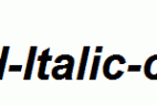 Arial-Bold-Italic-copy-2-.ttf