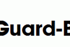 Avant-Guard-Bold.ttf