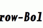 BaseMono-Narrow-Bold-Italic.ttf