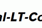 Basic-Commercial-LT-Com-Black-Italic.ttf