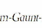 Berylium-Gaunt-Italic.ttf