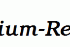 BookmanMedium-RegularItalic.ttf