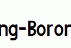 Boring-Boron.ttf