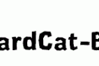 CardboardCat-Bold.otf