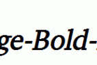 Challenge-Bold-Italic.ttf