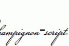 Champignon-script.ttf