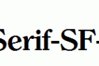Clarity-Serif-SF-Bold.ttf