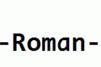 Code-New-Roman-Bold.otf