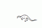 Dinosaur-Outline.ttf