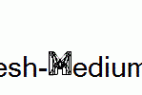 Dmesh-Medium.otf