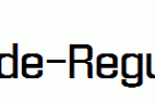 Enigmatic-Unicode-Regular-copy-1-.ttf