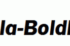Formula-BoldIta.ttf