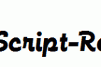 FunctionScript-Regular.ttf