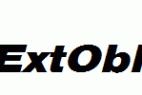 HelveticaExtObl-Heavy.ttf