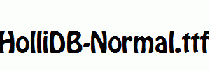 HolliDB-Normal.ttf