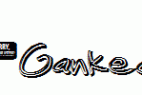 Jenkins-Ganked.ttf