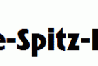 Linotype-Spitz-Black.ttf