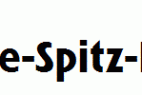 Linotype-Spitz-Bold.ttf