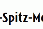 Linotype-Spitz-Medium.ttf