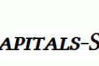 Linux-Libertine-Capitals-Semibold-Italic.ttf