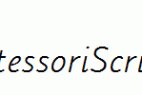 MontessoriScript.ttf